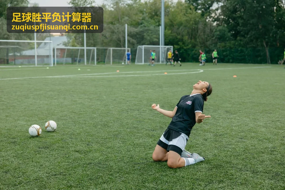 足球胜平负计算器历史交锋数据统计说明